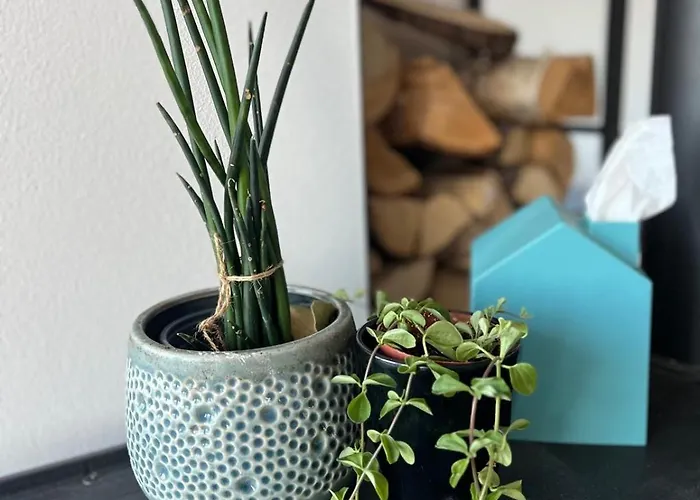 Haus-villa Moderne In Wallersdorf-haidlfing Villa Wallersdorf